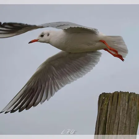 Lillstugan Proche De La Baie De Somme * Quesnoy-le-Montant