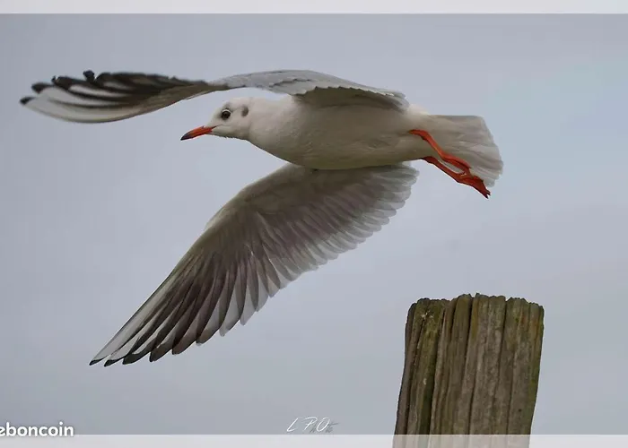 Lillstugan Proche De La Baie De Somme * Quesnoy-le-Montant